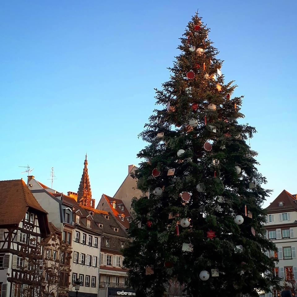 Premiere Classe Strasbourg Sud - Illkirch Kültér fotó
